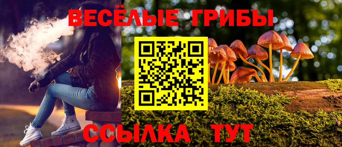 Галлюциногенные грибы Magic Shrooms  Вход с VPN  Выкса 