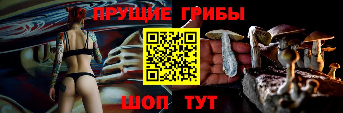 Псилоцибиновые грибы мицелий Выкса